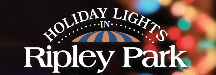 holiday lights in ripley park